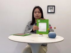 El color cubrió al proveedor chino prepintado blanco de la bobina de acero Ral9003